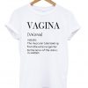 Vagina Noun Tshirt
