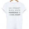 Gay, Straight Black, White Marriage Is a Civil Right T-shirt