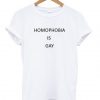 Homophobia Is Gay T-shirt