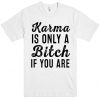 Karma Is Only A Bitch If You Are T-shirt